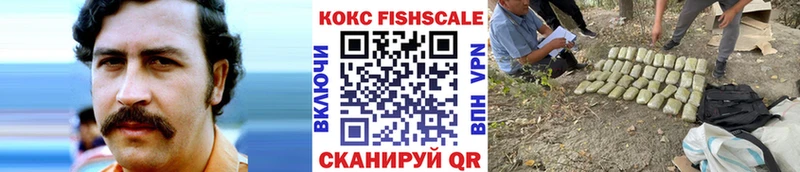 Кокаин Fish Scale  купить наркоту  Димитровград 