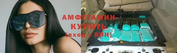 сатива Верея