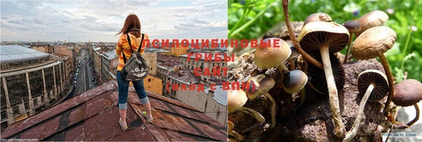 прущая мука Бугульма